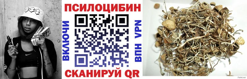 Псилоцибиновые грибы MAGIC MUSHROOMS  Купить закладки  Ступино 